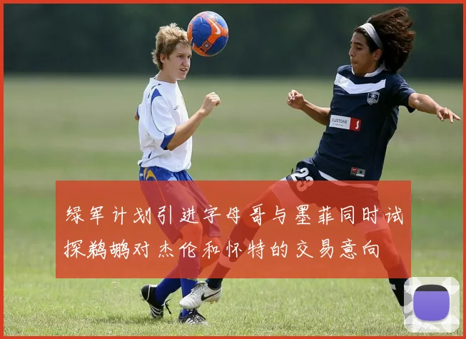 绿军计划引进字母哥与墨菲同时试探鹈鹕对杰伦和怀特的交易意向